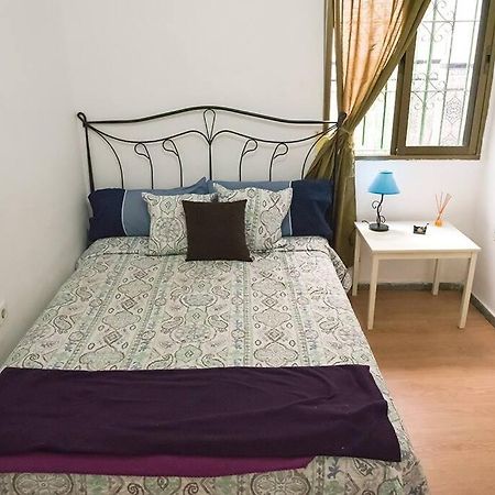 The Oasis One Spacious Apartment In Sevilla Экстерьер фото