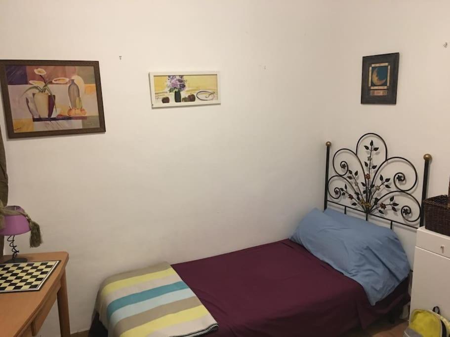 The Oasis One Spacious Apartment In Sevilla Экстерьер фото